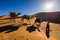 Marokko - Yoga & Ayurveda meets Desert Trip!      